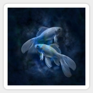Zodiac signs - Fishes Sticker